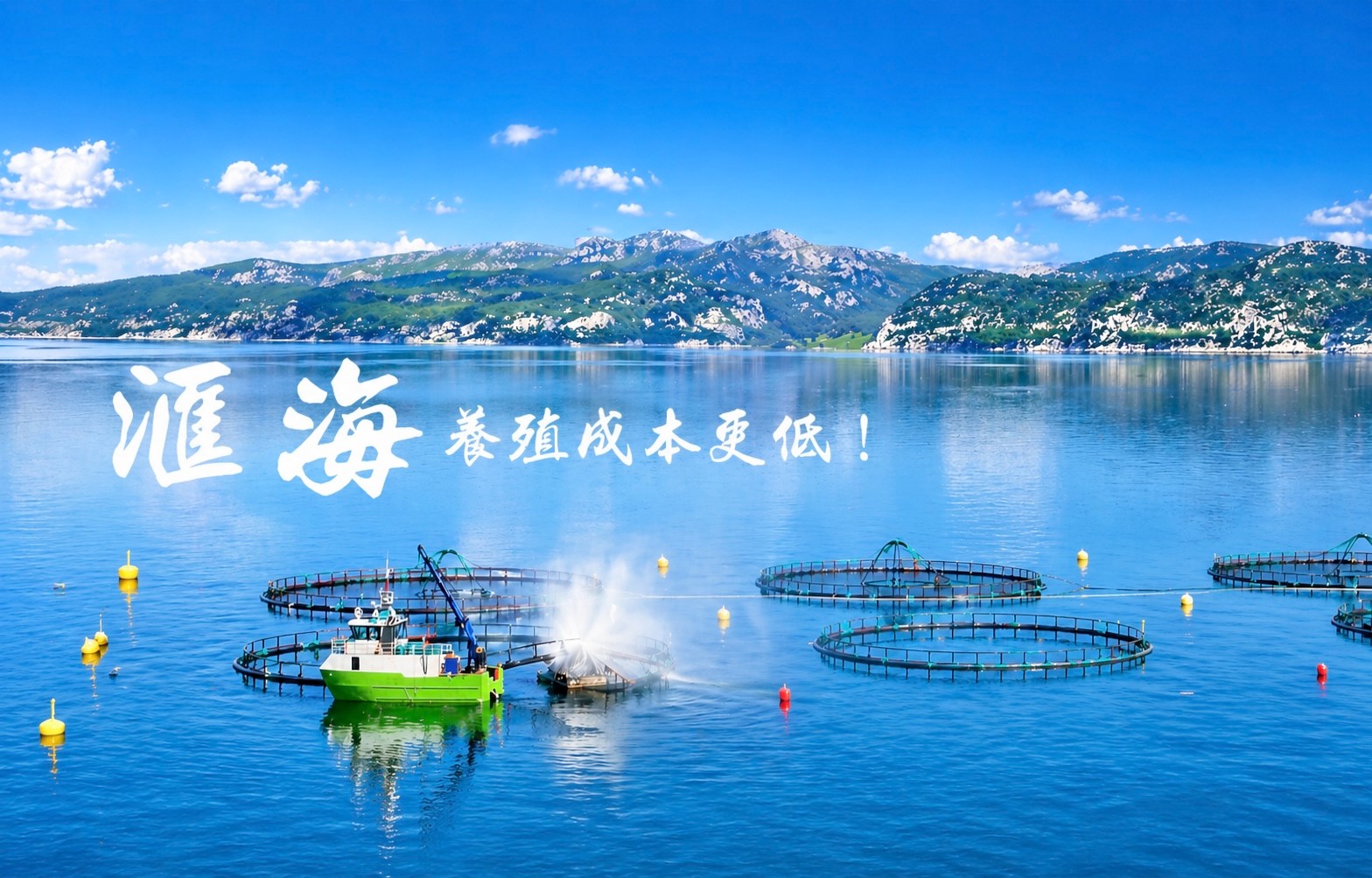 bifa必发养殖成本更低、更赚钱